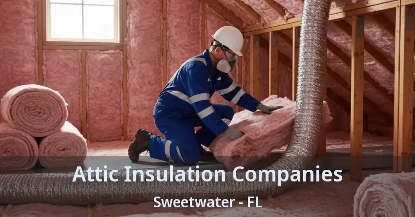 Attic Insulation Companies Sweetwater - FL
