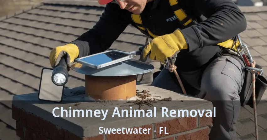 Chimney Animal Removal Sweetwater - FL