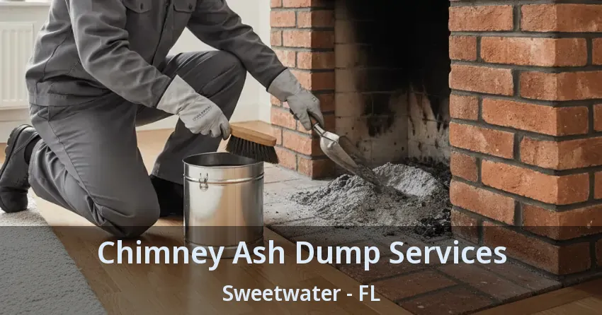 Chimney Ash Dump Services Sweetwater - FL