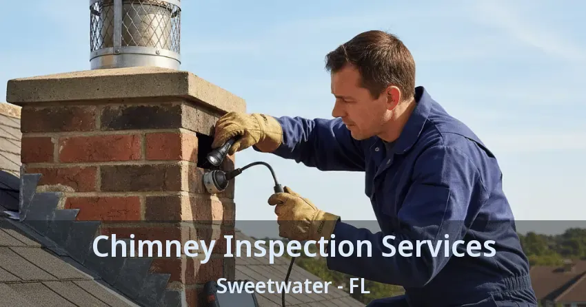 Chimney Inspection Services Sweetwater - FL