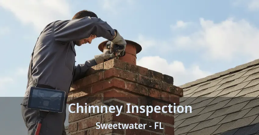 Chimney Inspection Sweetwater - FL