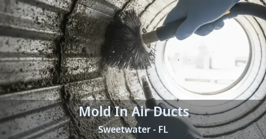 Mold In Air Ducts Sweetwater - FL