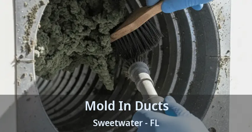 Mold In Ducts Sweetwater - FL