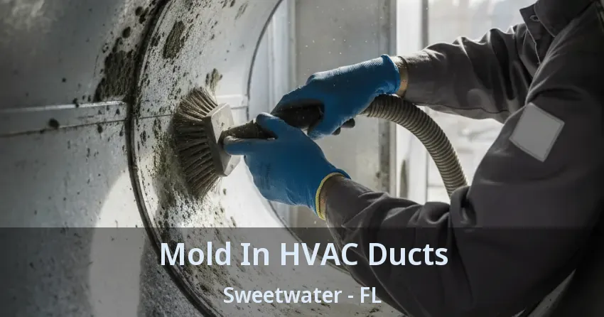 Mold In HVAC Ducts Sweetwater - FL